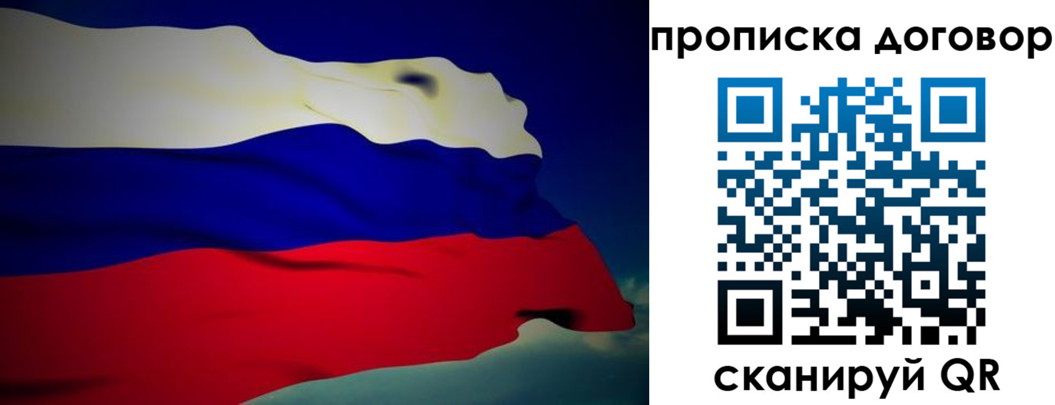 прописка поиск в Нижнекамске